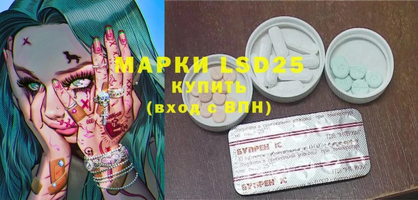 индика Михайловск
