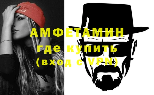 индика Михайловск