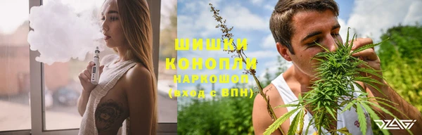 индика Михайловск