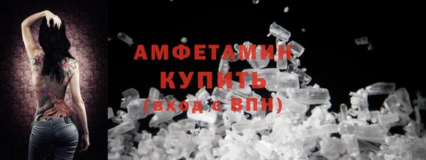 индика Михайловск