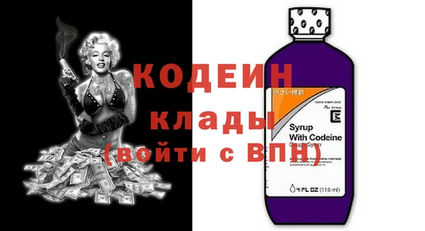 индика Михайловск