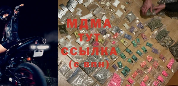 индика Михайловск