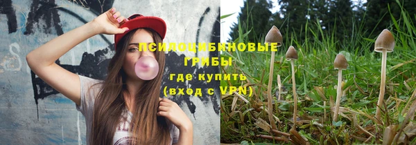 индика Михайловск