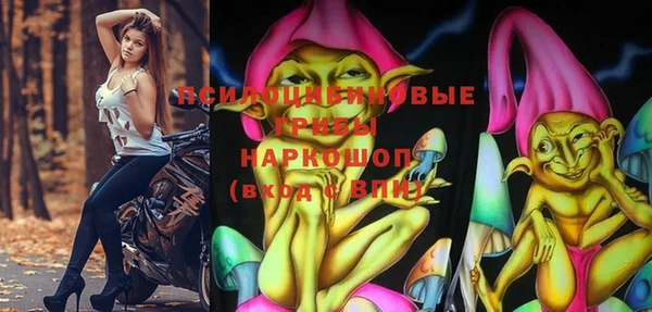 индика Михайловск