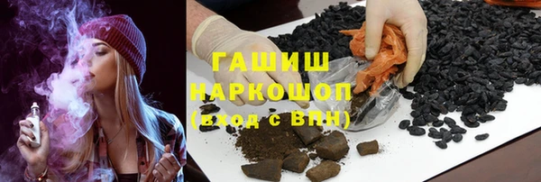 индика Михайловск