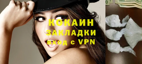 индика Михайловск